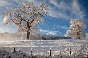 winter-in-snowdonia